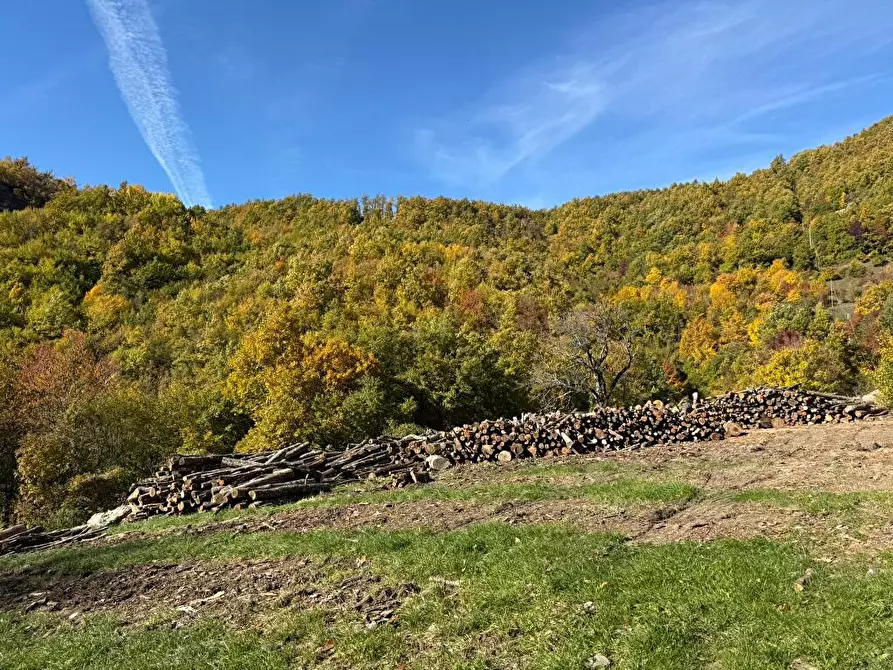 Immagine 16 di Rustico / casale in vendita  a Bardi