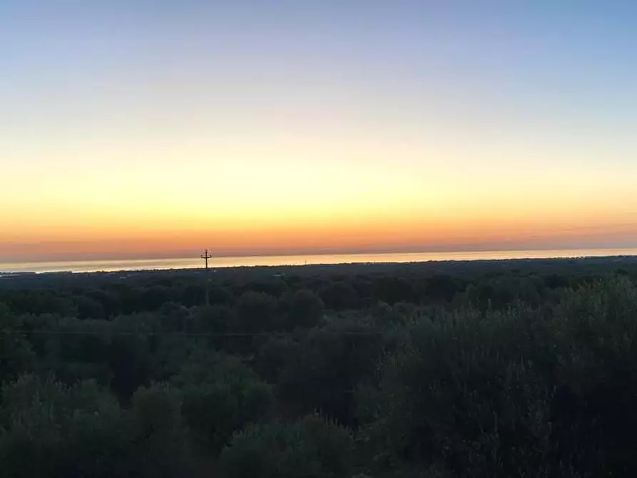 Immagine 2 di Stabile in vendita  in Contrada Macchia di Casa a Monopoli