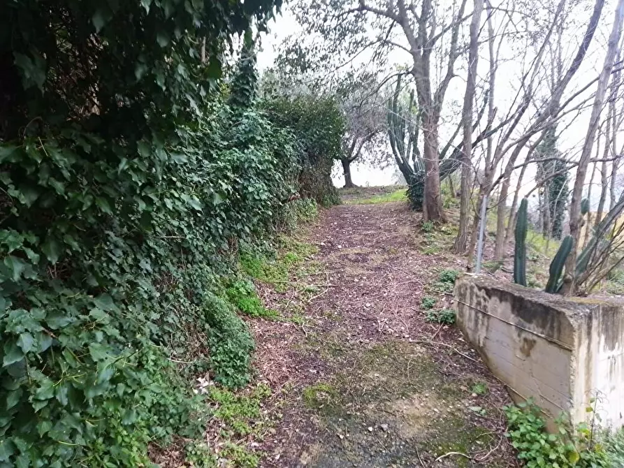 Immagine 6 di Terreno agricolo in vendita  in Via S.Eramo 10 a Sarno
