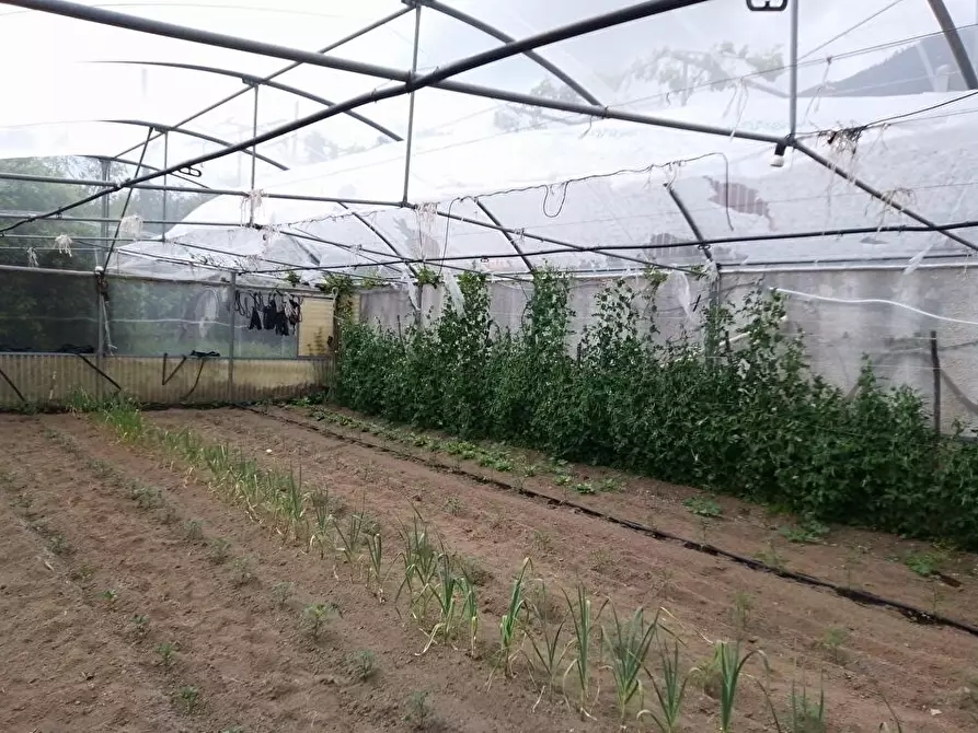 Immagine 5 di Terreno agricolo in vendita  in Via Villa Venere 1 a Sarno