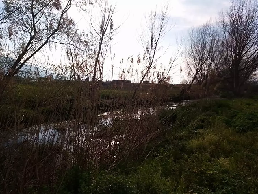 Immagine 3 di Terreno agricolo in vendita  in Via Masseria Pigliuocco 1 a Sarno