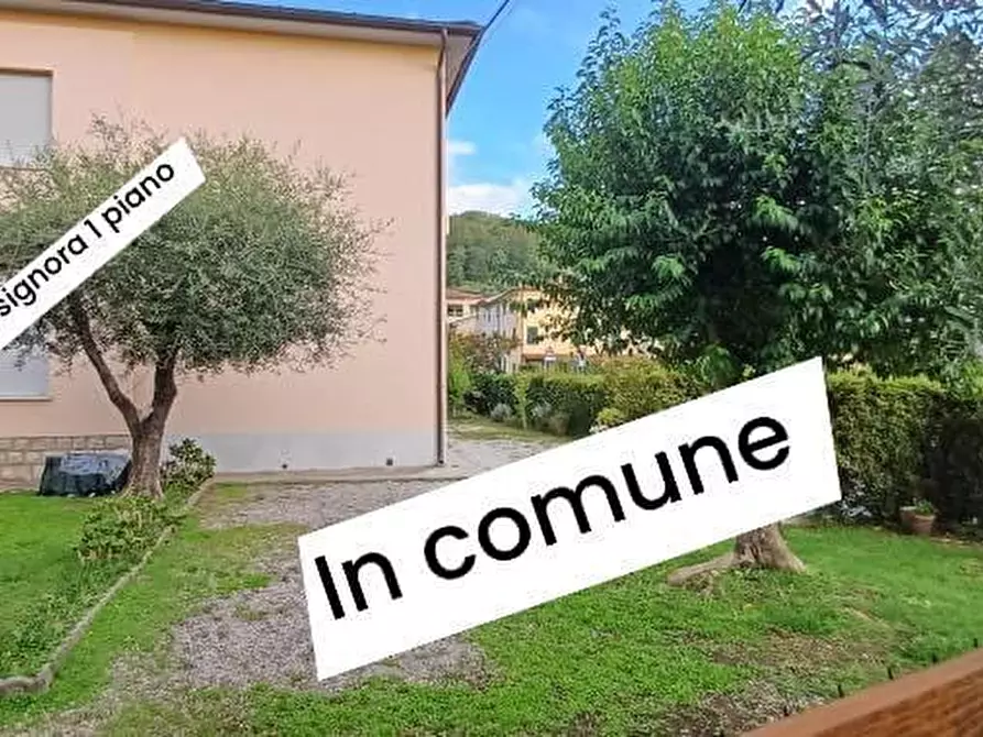 Immagine 16 di Appartamento in vendita  a Massarosa