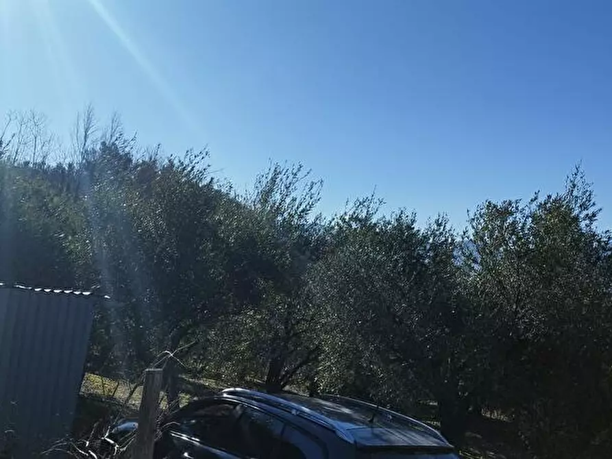 Immagine 4 di Terreno agricolo in vendita  in Via Calabrici 1 a Sarno