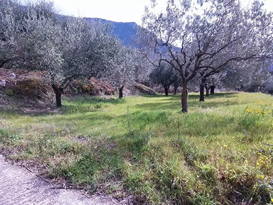Immagine 4 di Terreno agricolo in vendita  in Episcopio 1 a Sarno
