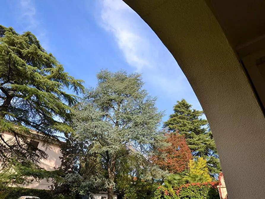 Immagine 2 di Porzione di villa in affitto  a Treviso