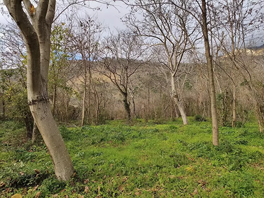 Immagine 7 di Terreno agricolo in vendita  in Via Traversa San Marco 1 a Sarno
