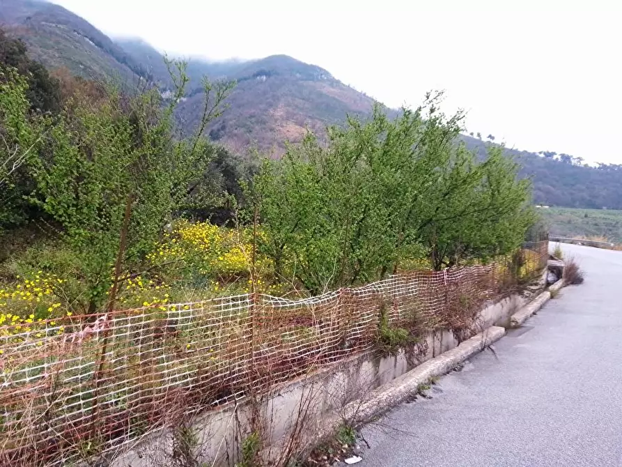 Immagine 2 di Terreno agricolo in vendita  in Via Bracigliano 1 a Sarno