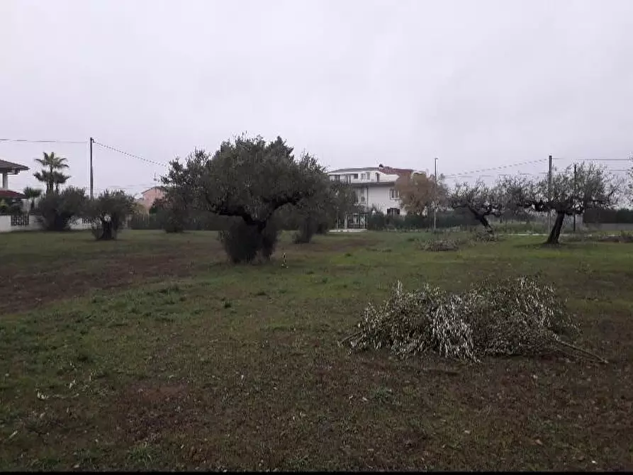 Immagine 4 di Terreno edificabile in vendita  in Via Faresi a Cepagatti
