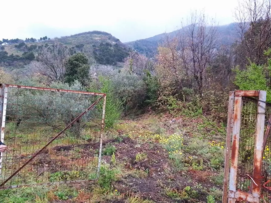 Immagine 3 di Terreno agricolo in vendita  in Via Bracigliano 1 a Sarno