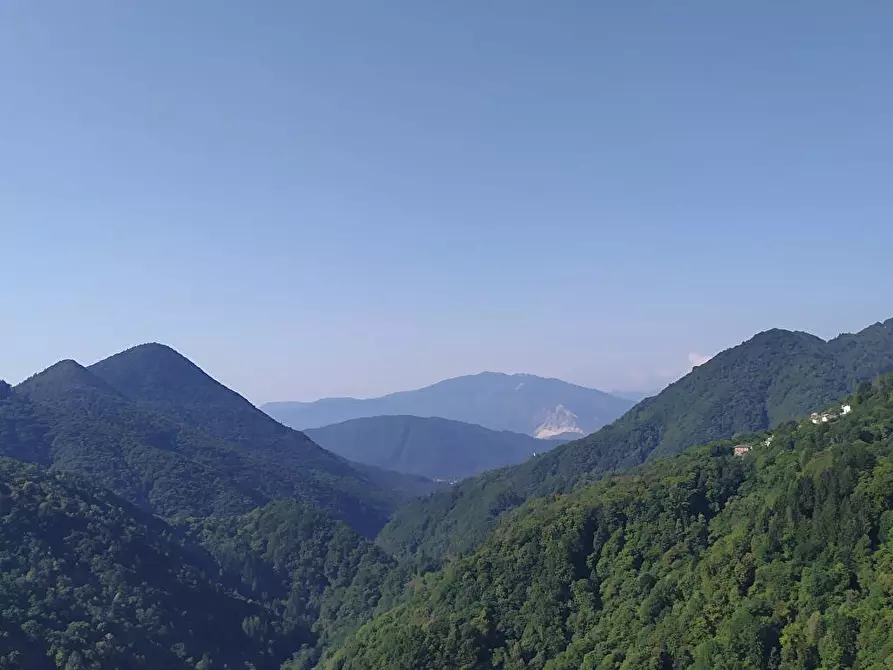 Immagine 2 di Abitazione tipica in affitto  in Località Gabbio  7 a Aurano