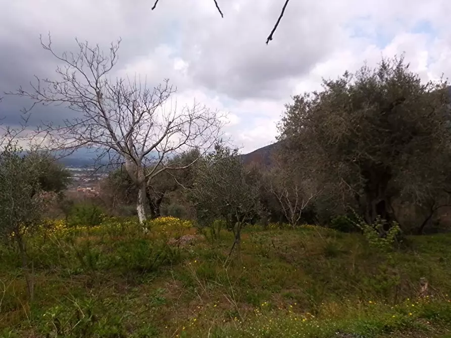 Immagine 2 di Terreno agricolo in vendita  in Via Curti 1 a Sarno