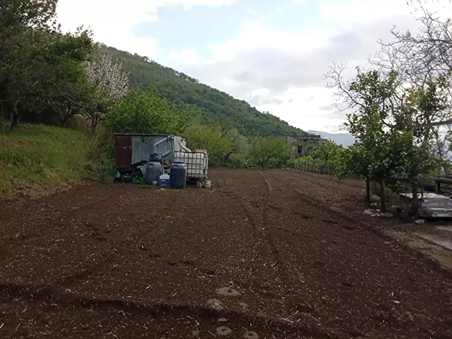 Immagine 3 di Terreno agricolo in vendita  in Via Sant'Eramo 1 a Sarno