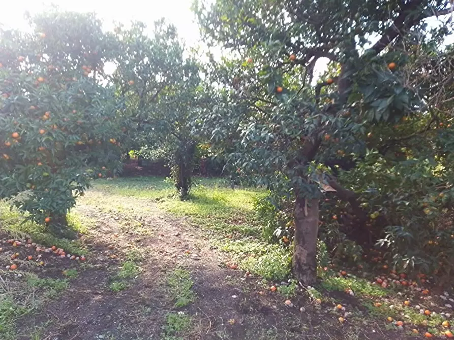 Immagine 8 di Terreno in vendita  in Via Mura D'Arci 1 a Sarno