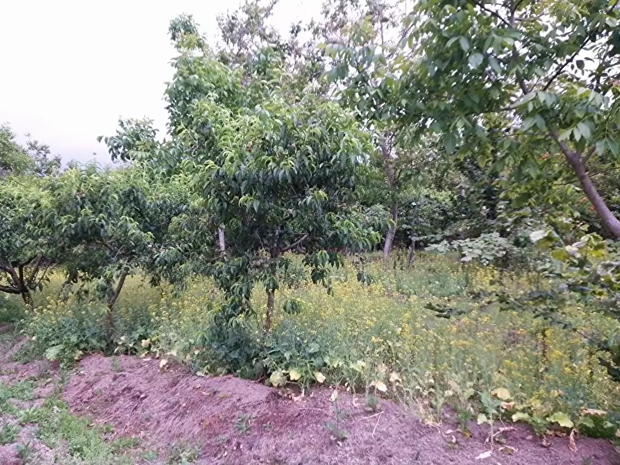 Immagine 7 di Terreno in vendita  in Via Sant'Eramo 10 a Sarno