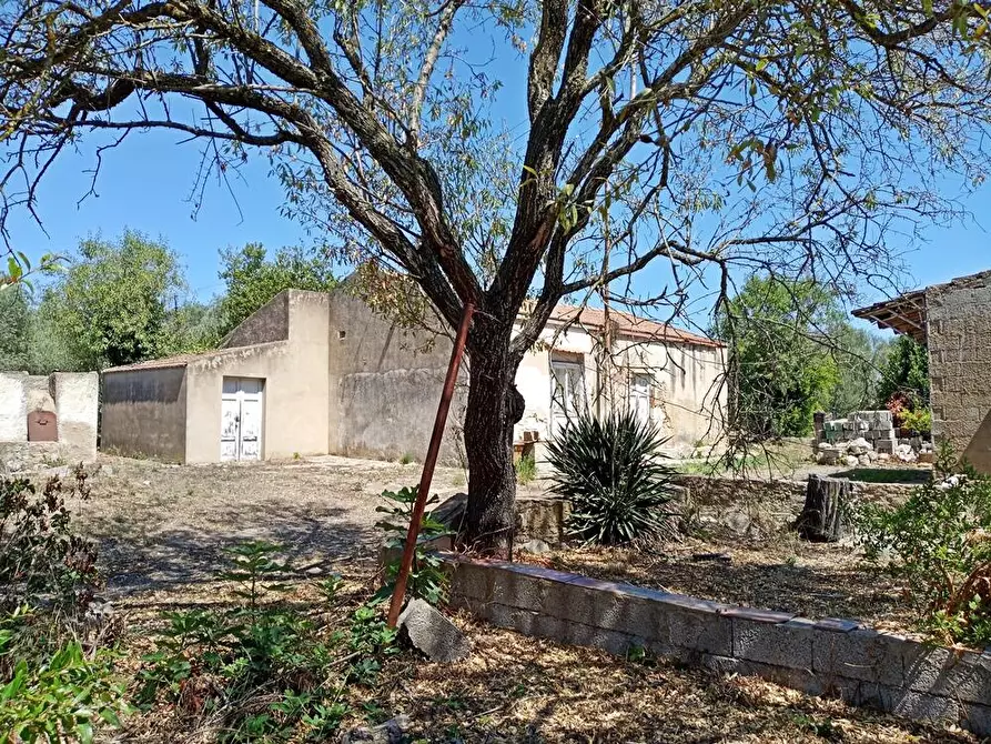 Immagine 6 di Casa colonica in vendita  in SV Pietro d'Ottava 130 a Sassari