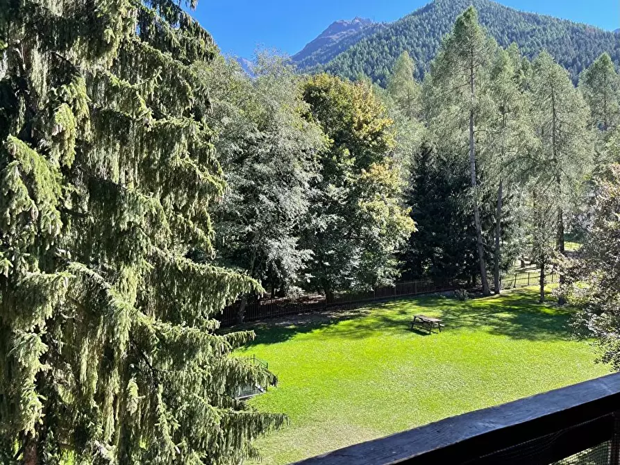 Immagine 17 di Appartamento in affitto  in viale venezia 22 a Ponte Di Legno