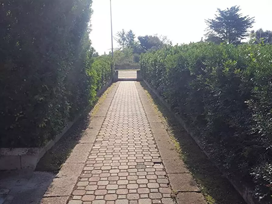 Immagine 8 di Capannone industriale in vendita  in Lu saltu di la pera snc a Sassari