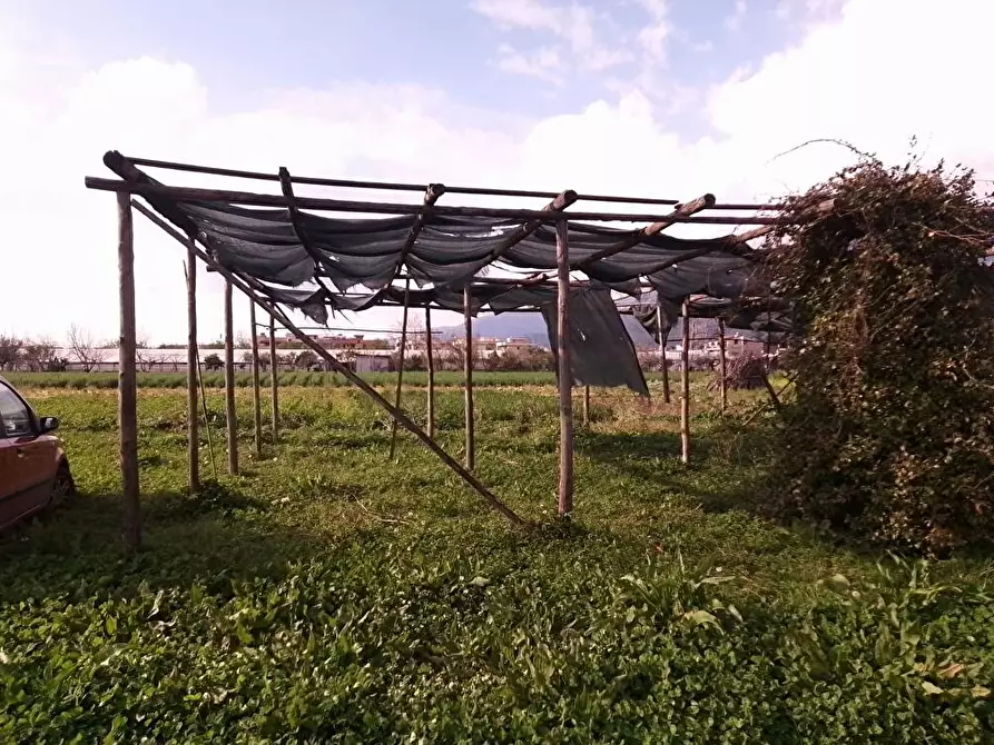 Immagine 5 di Terreno agricolo in vendita  in Via Masseria Pigliuocco 1 a Sarno