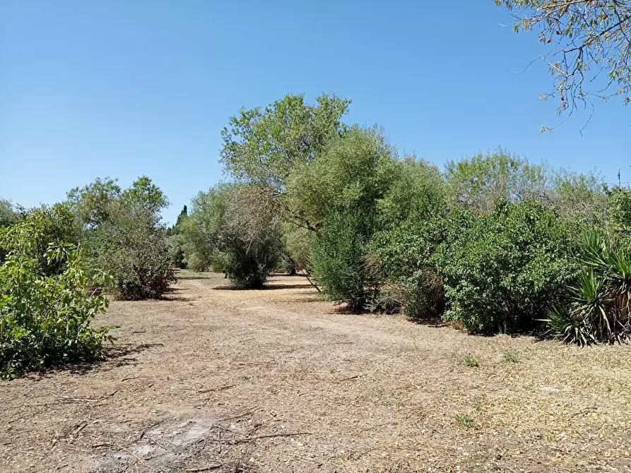 Immagine 12 di Casa colonica in vendita  in SV Pietro d'Ottava 130 a Sassari