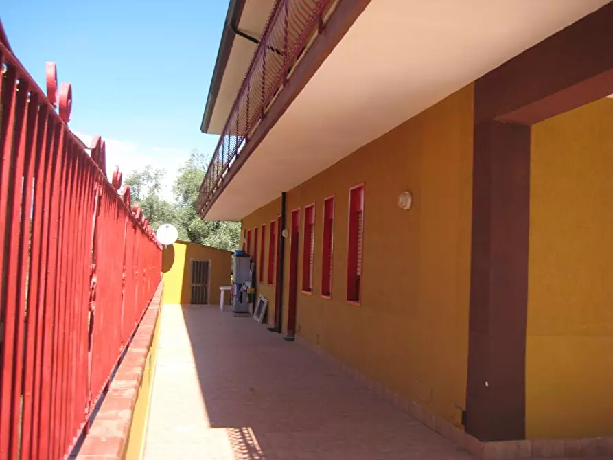 Immagine 14 di Abitazione tipica in affitto  in Via Alloro 29 a Catania