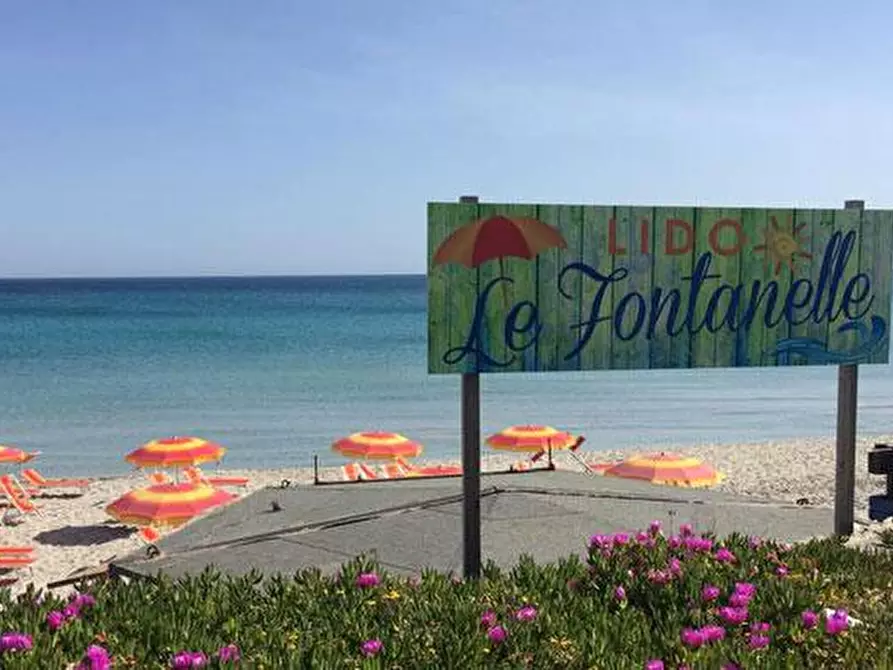 Immagine 10 di Appartamento in affitto  a Melendugno