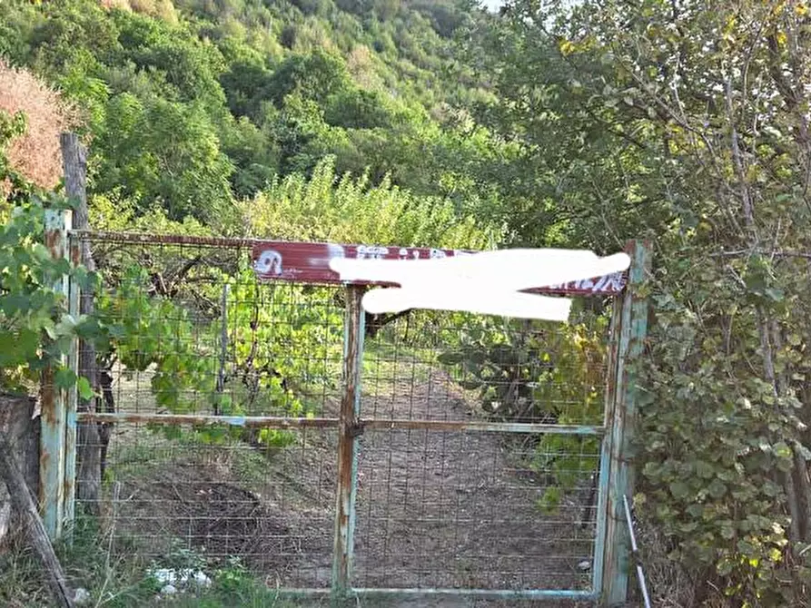 Immagine 4 di Terreno agricolo in vendita  in Via Sant'Eramo 1 a Sarno