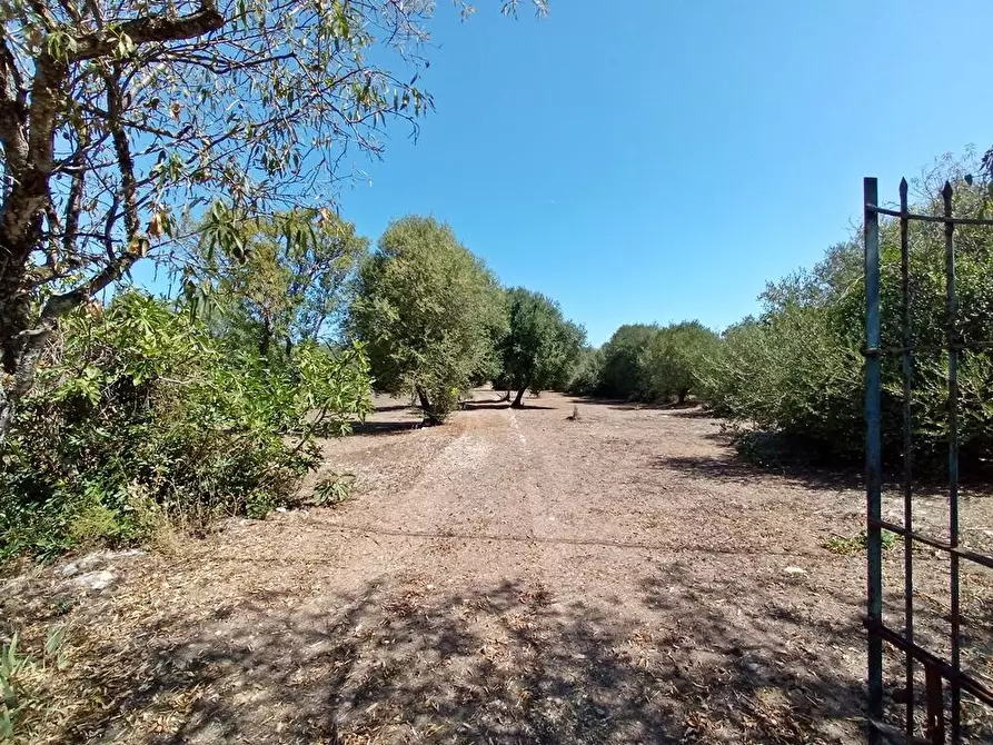 Immagine 4 di Casa colonica in vendita  in SV Pietro d'Ottava 130 a Sassari