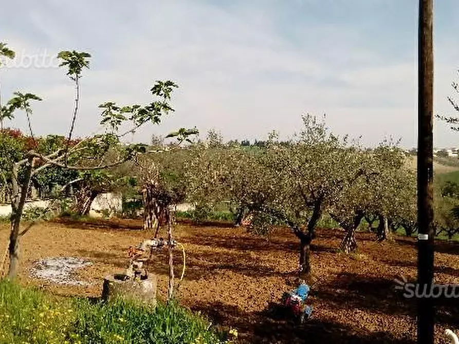 Immagine 4 di Terreno edificabile in vendita  in Via Boreale a Pianella