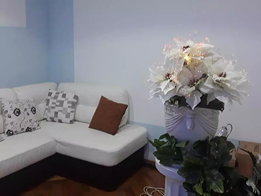 Immagine 2 di Affittacamere in affitto  a Trieste