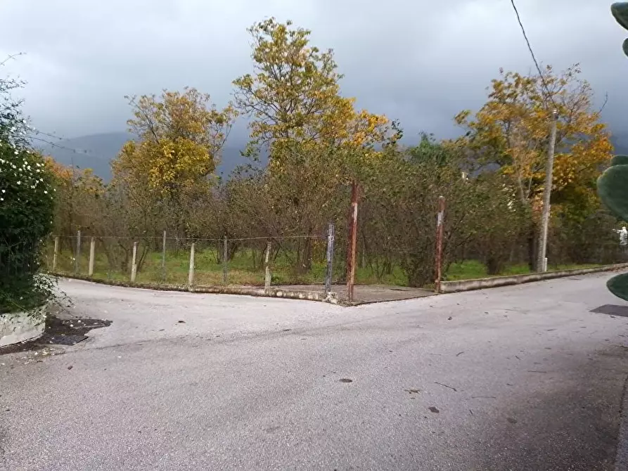 Immagine 1 di Terreno agricolo in vendita  in Via Contrada Boschetto 1 a Sarno