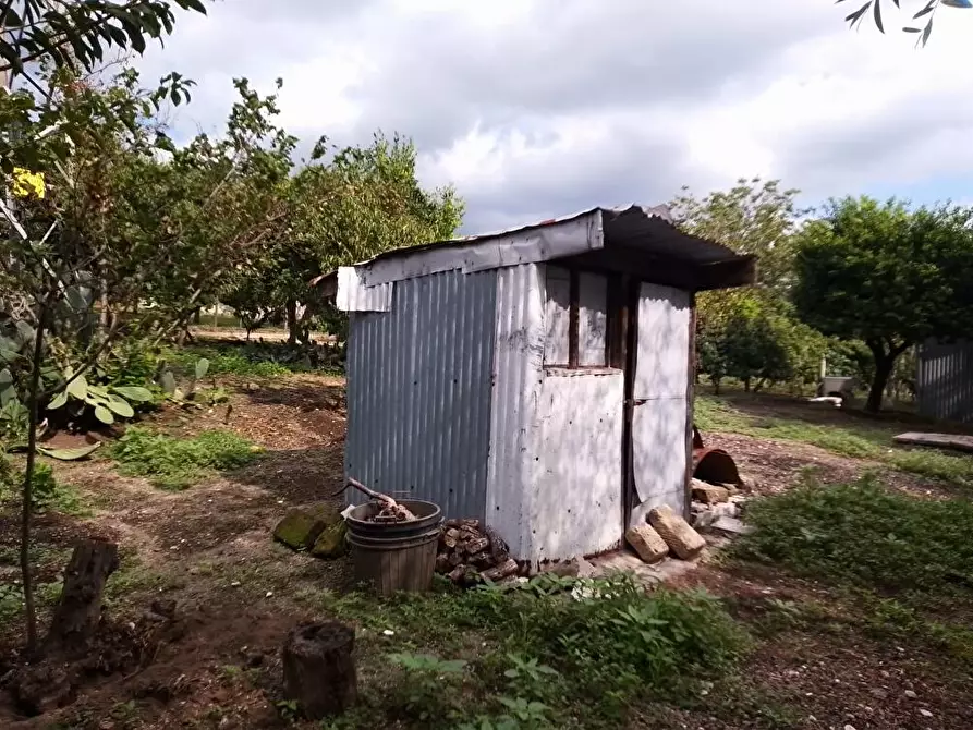 Immagine 4 di Terreno agricolo in vendita  in Via  San Vito 1 a Sarno