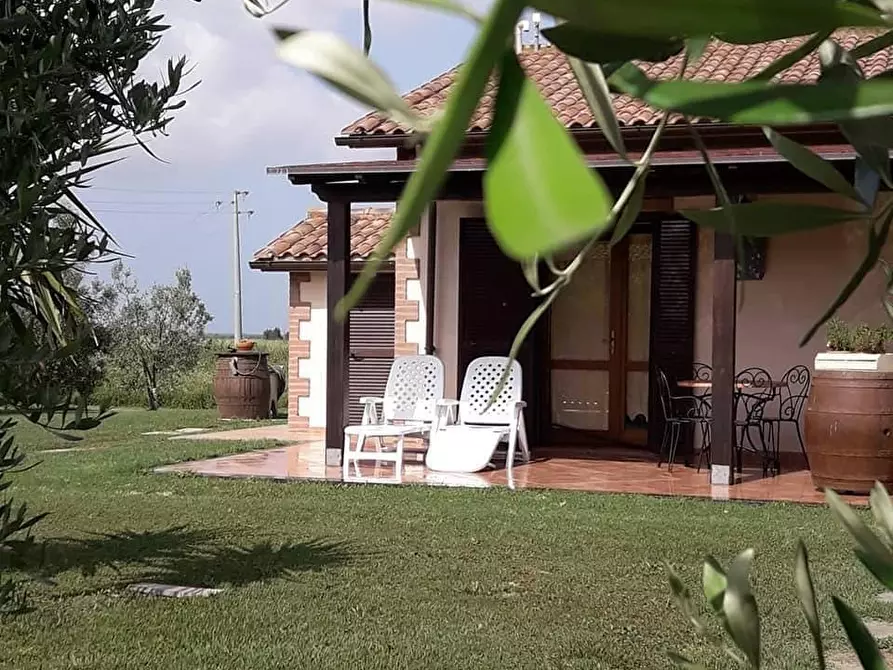 Immagine 5 di Appartamento in affitto  a Grosseto