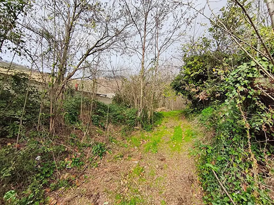 Immagine 4 di Terreno agricolo in vendita  in Via Traversa San Marco 1 a Sarno