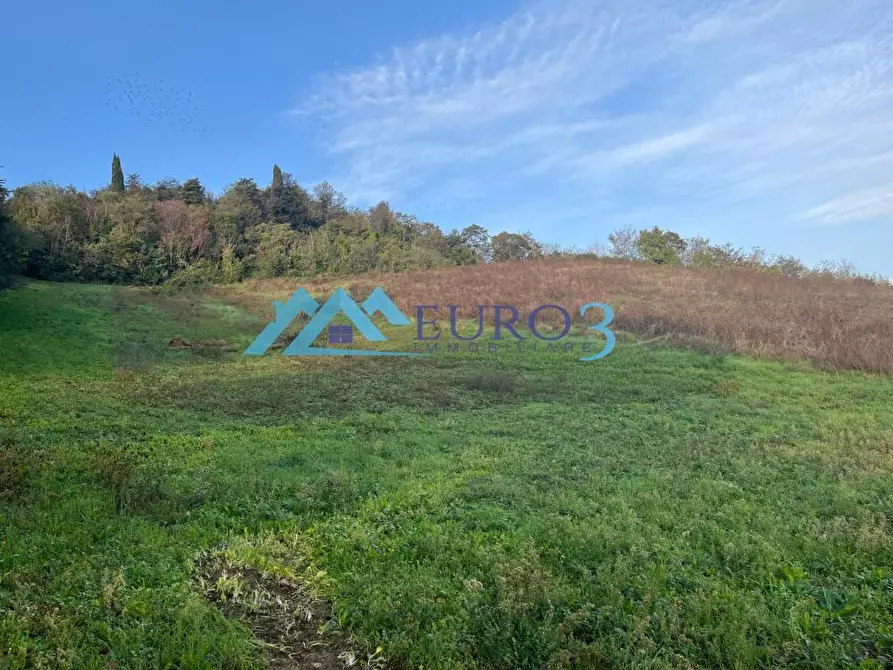 Immagine 6 di Terreno in vendita  in PIANE DI MORRO 1 a Folignano