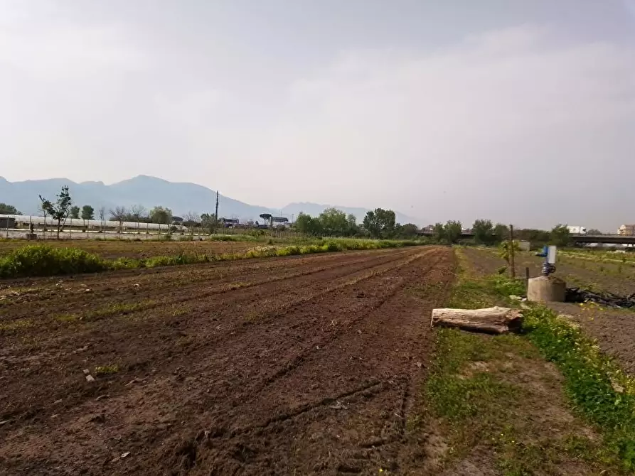 Immagine 5 di Terreno agricolo in vendita  in Via Fontanelle 1 a Sarno