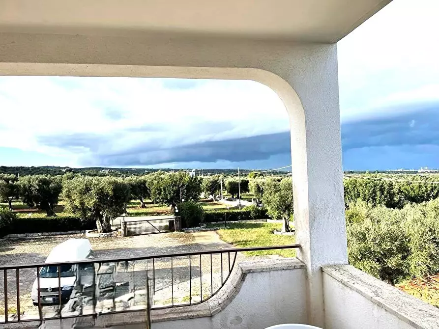 Immagine 6 di Stabile in vendita  in Contrada Macchia di Casa a Monopoli