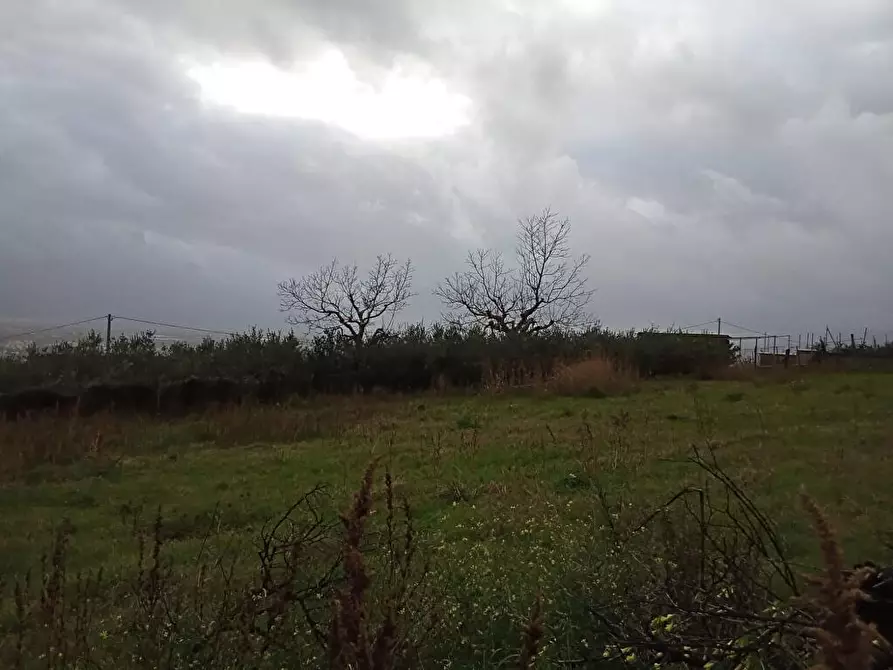 Immagine 7 di Terreno agricolo in vendita  in Via VillaVenere 1 a Sarno