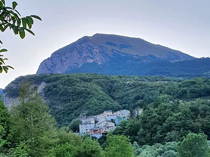 Immagine 1 di Casa indipendente in affitto  a Montefortino