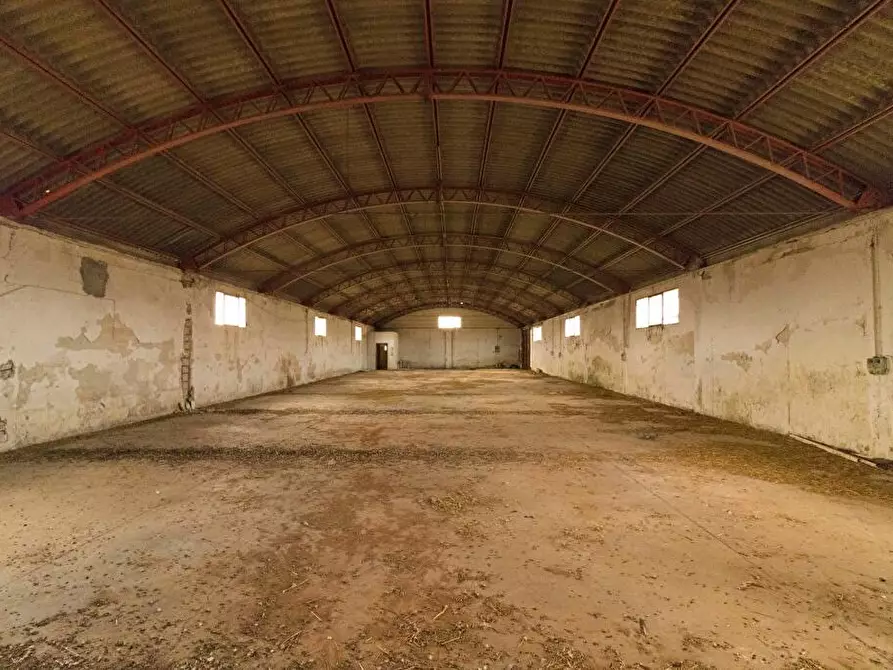 Immagine 5 di Villa in vendita  in surano 2 a Surano