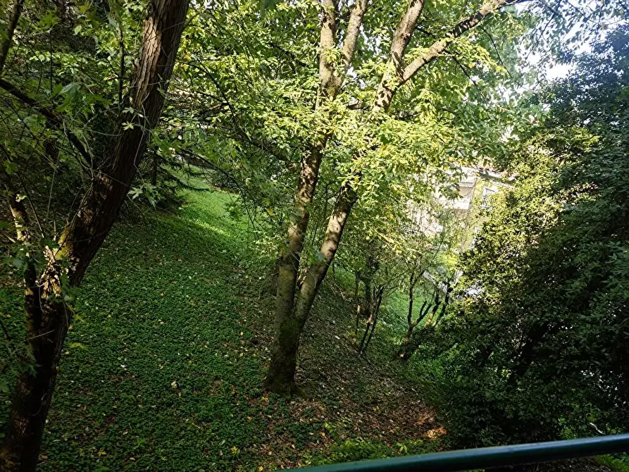 Immagine 10 di Appartamento in affitto  a Salsomaggiore Terme