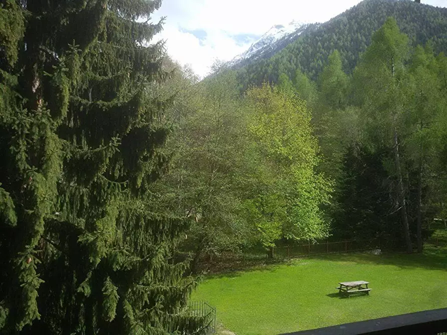 Immagine 4 di Appartamento in affitto  in Viale Venezia 22 a Ponte Di Legno