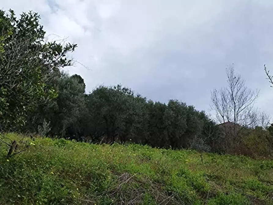 Immagine 3 di Terreno agricolo in vendita  in Via Bracigliano 1 a Sarno