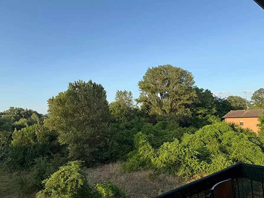 Immagine 8 di Appartamento in affitto  a Lesignano De' Bagni