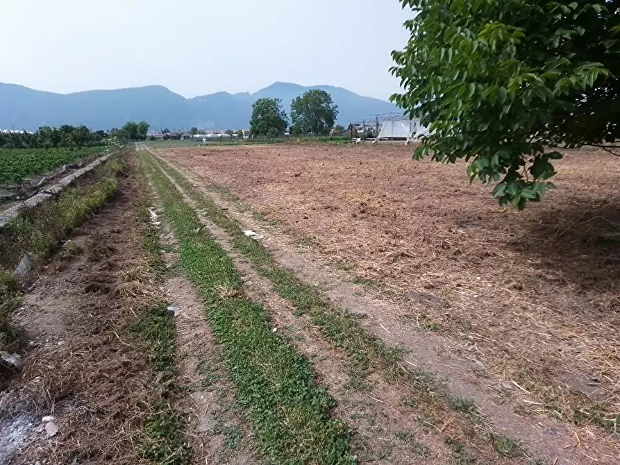 Immagine 2 di Terreno agricolo in vendita  in Via Astone 1 a Sarno