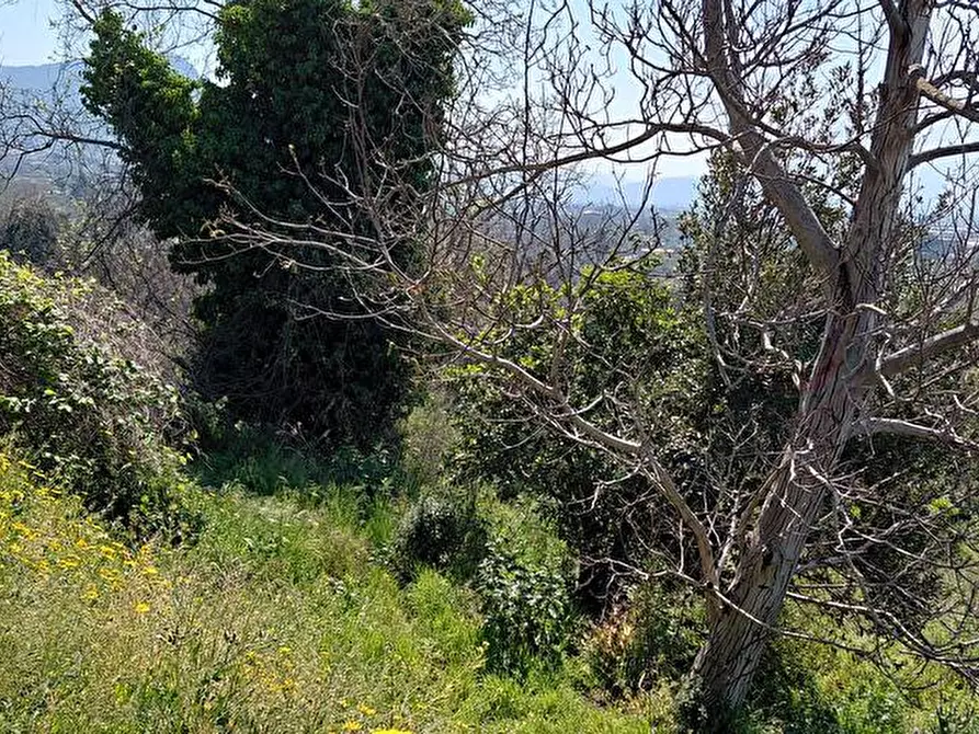 Immagine 3 di Terreno agricolo in vendita  in Via Mura D'Arci 1 a Sarno
