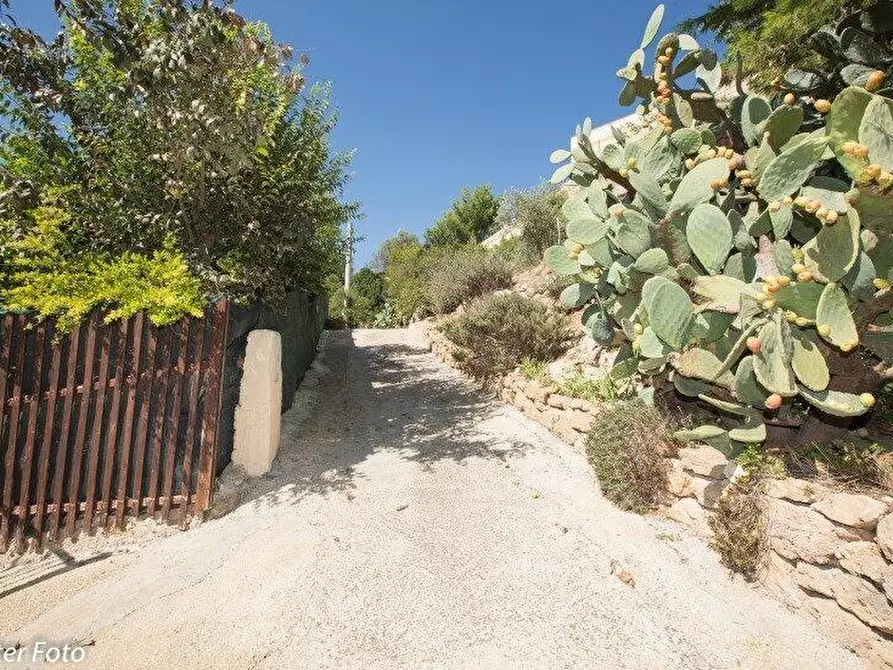 Immagine 37 di Casa vacanze in affitto  in CONTRADA LAUFI S.N a Noto