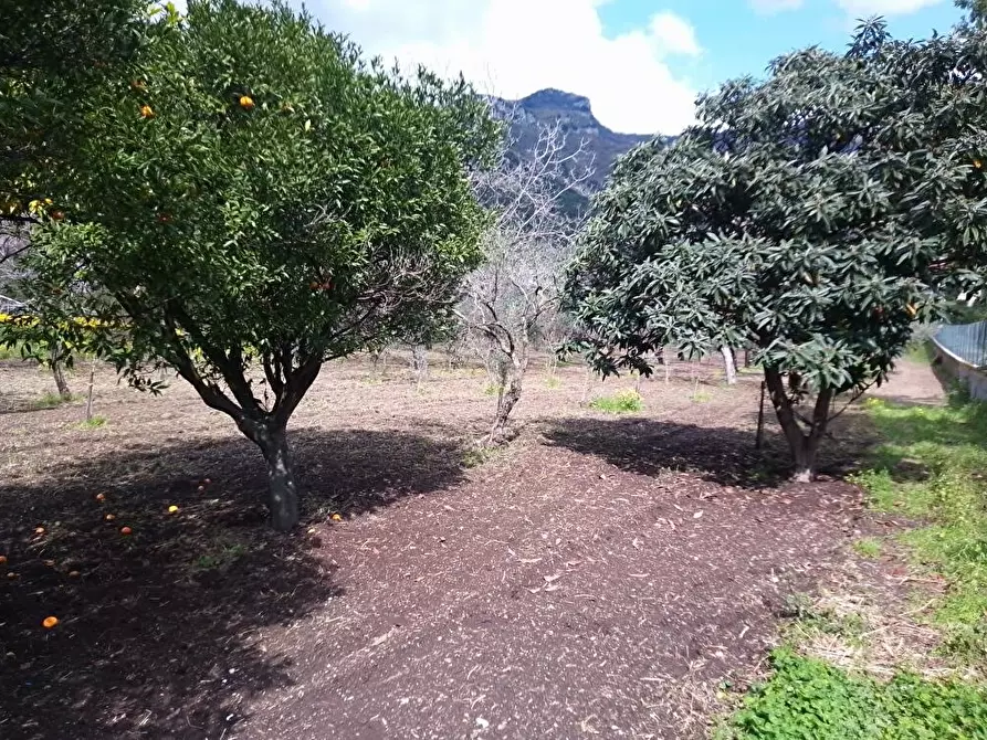 Immagine 2 di Terreno agricolo in vendita  in Via S.Vito  1 a Sarno