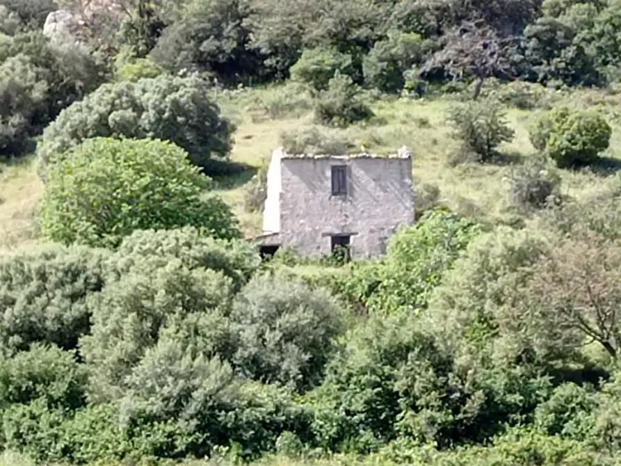 Immagine 8 di Terreno agricolo in vendita  in Matta e Padru snc a Bonorva