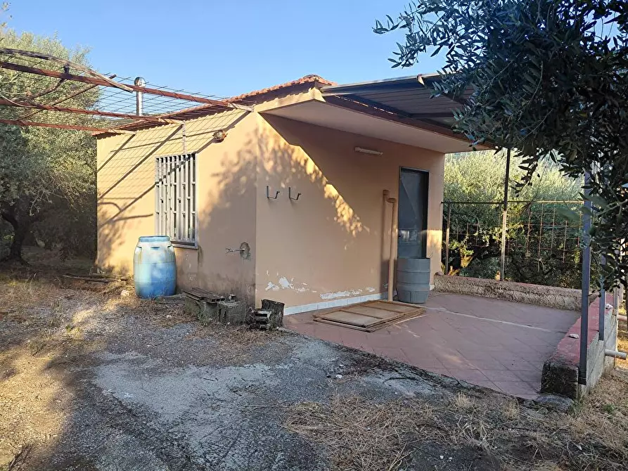 Immagine 3 di Terreno agricolo in vendita  in Via VillaVenere 10 a Sarno