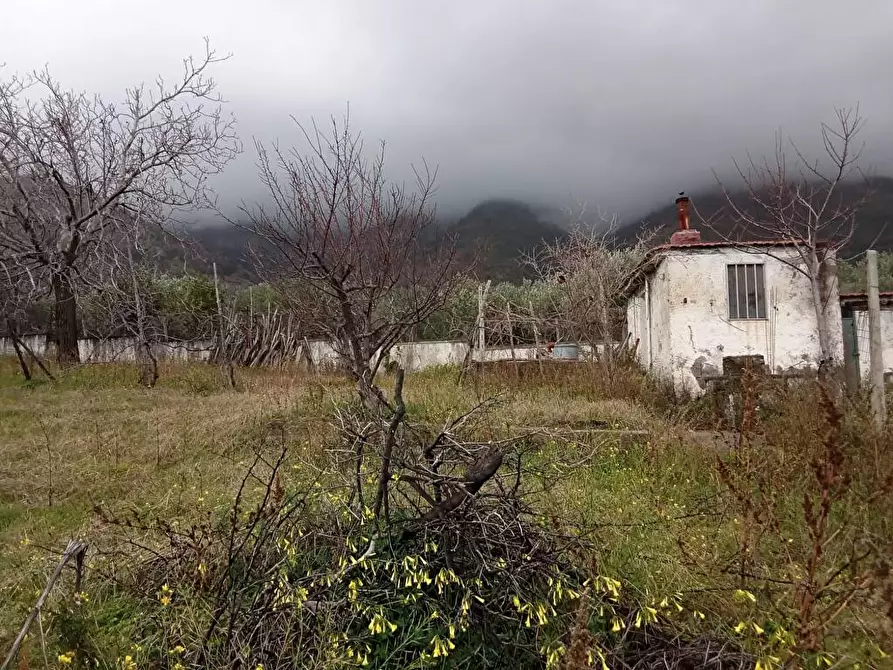 Immagine 4 di Terreno agricolo in vendita  in Via VillaVenere 1 a Sarno